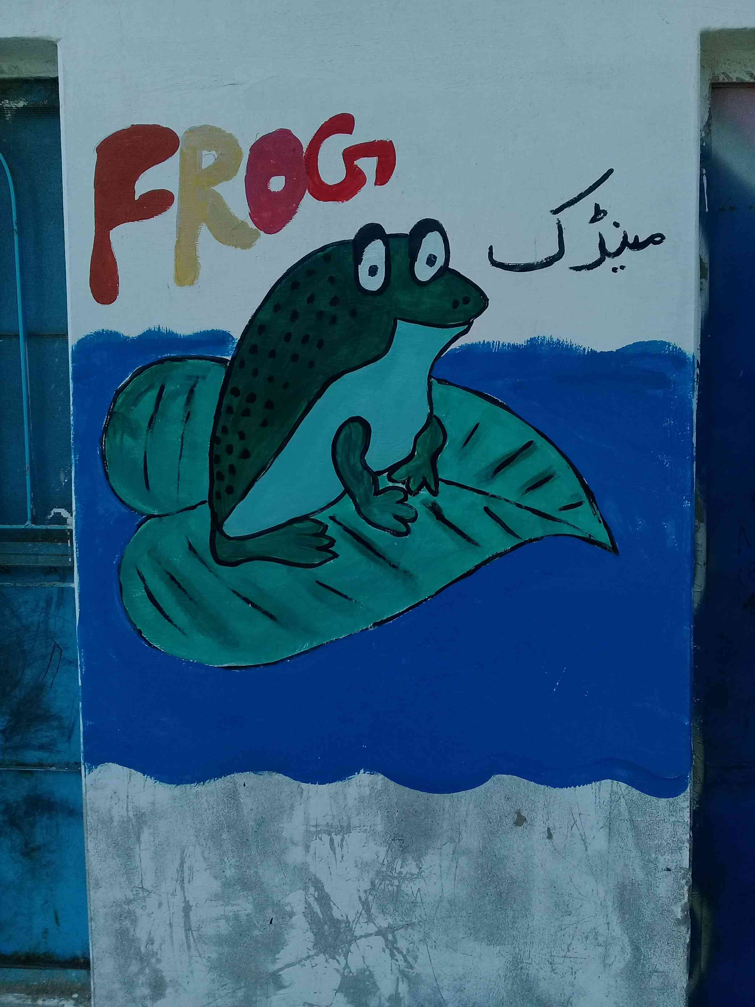 frog