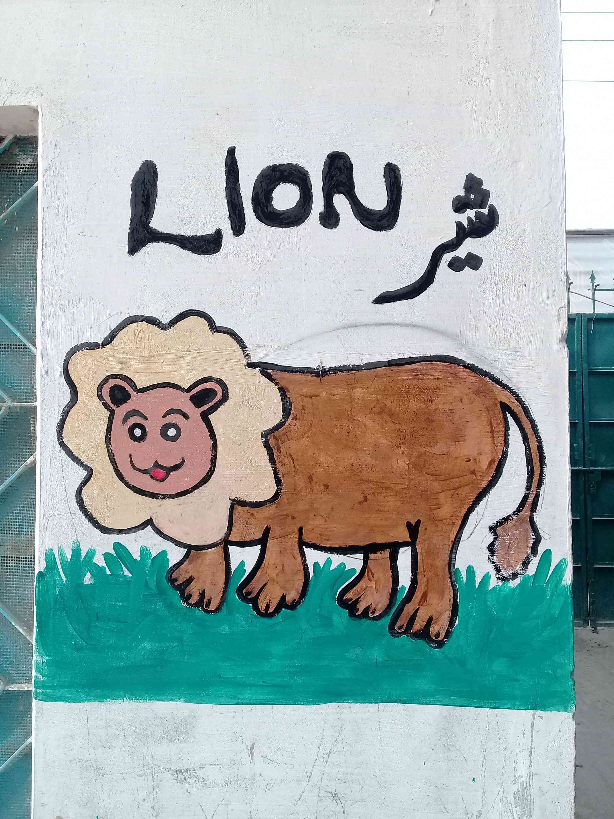 lion