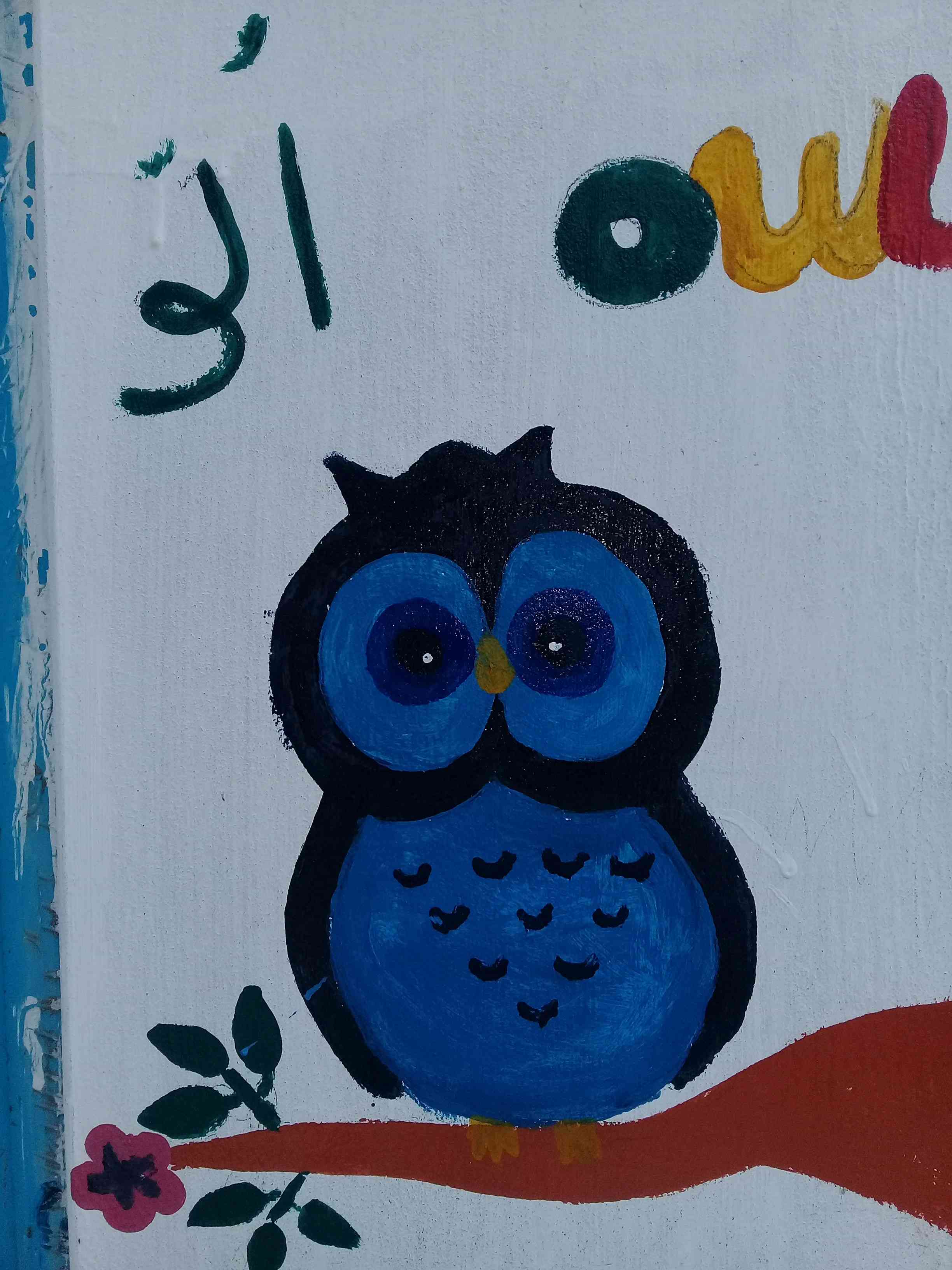 owl