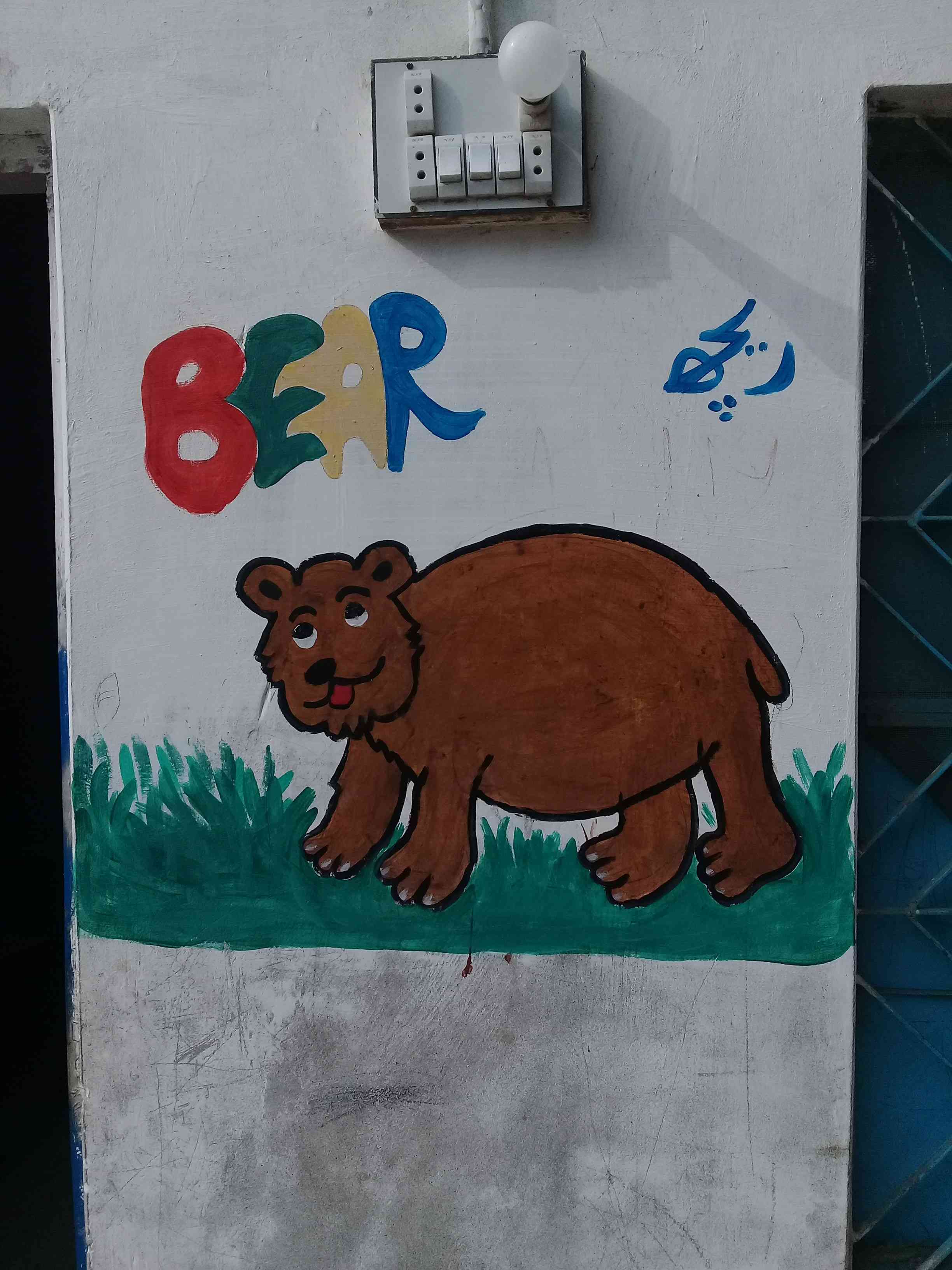 bear